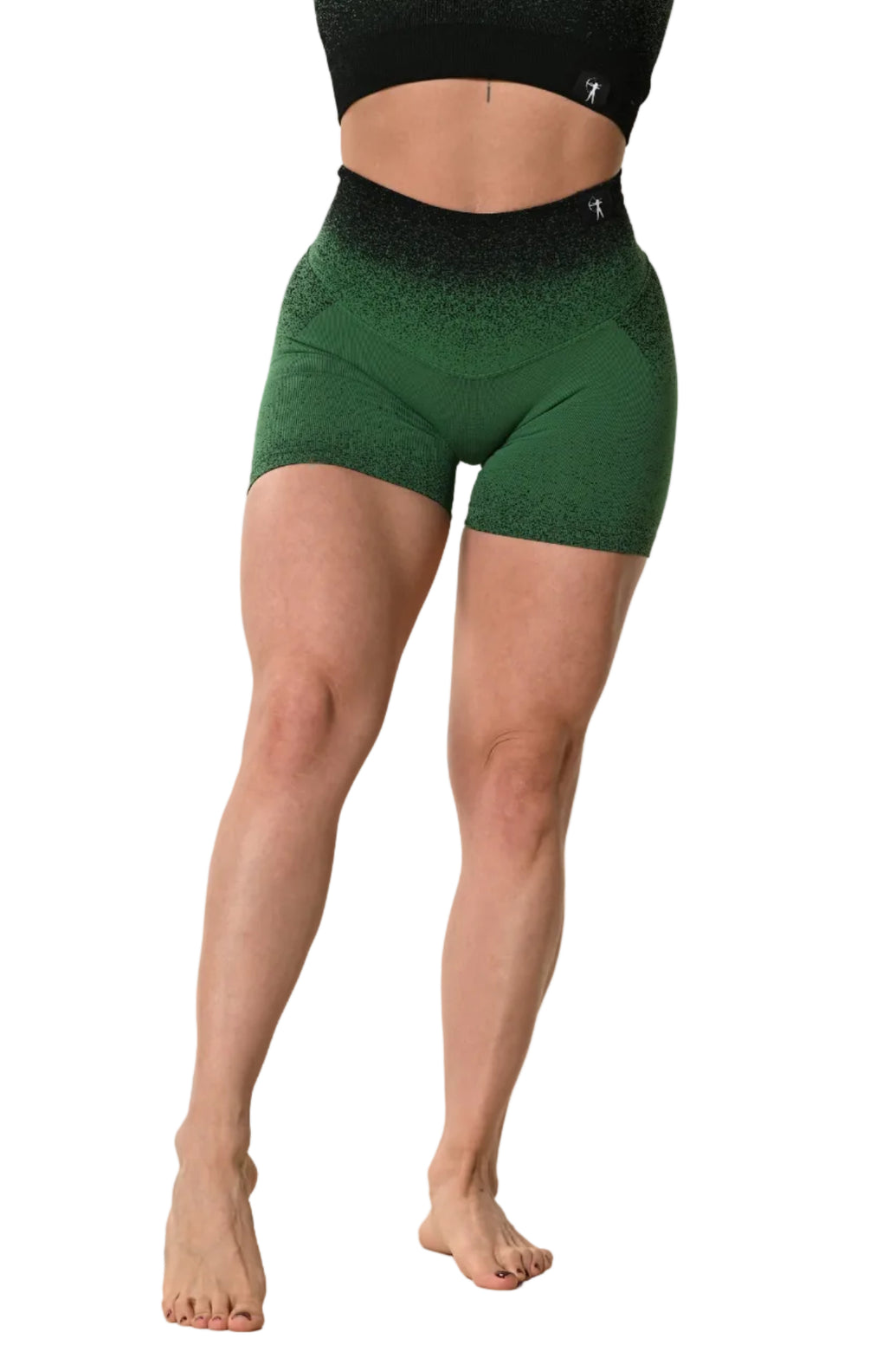 Short Sagitta Degradé - Verde