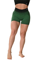 Short Sagitta Degradé - Verde